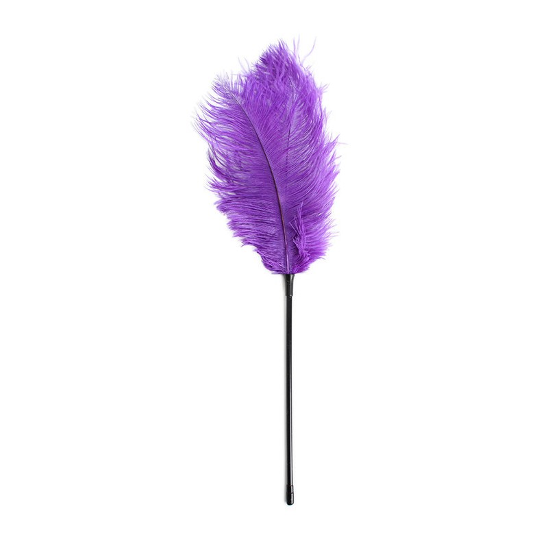 KINK BDSM Plume violette