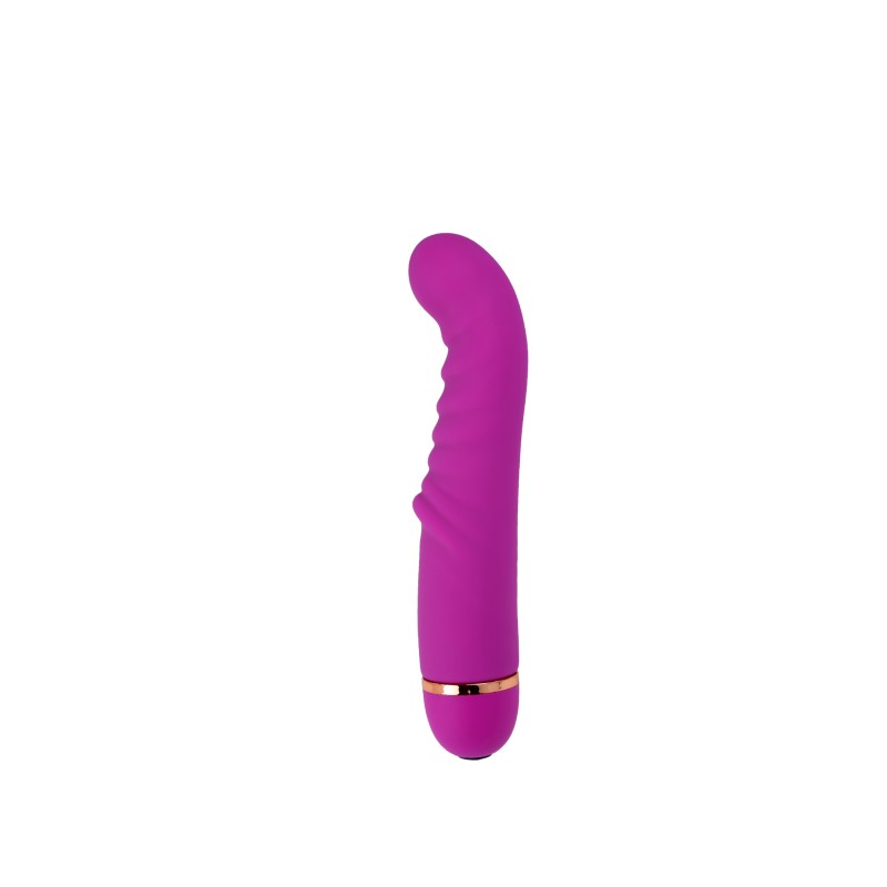 ECO Toys Stimulateur point G violet